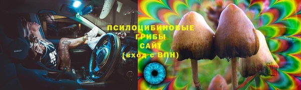 гидра Балабаново